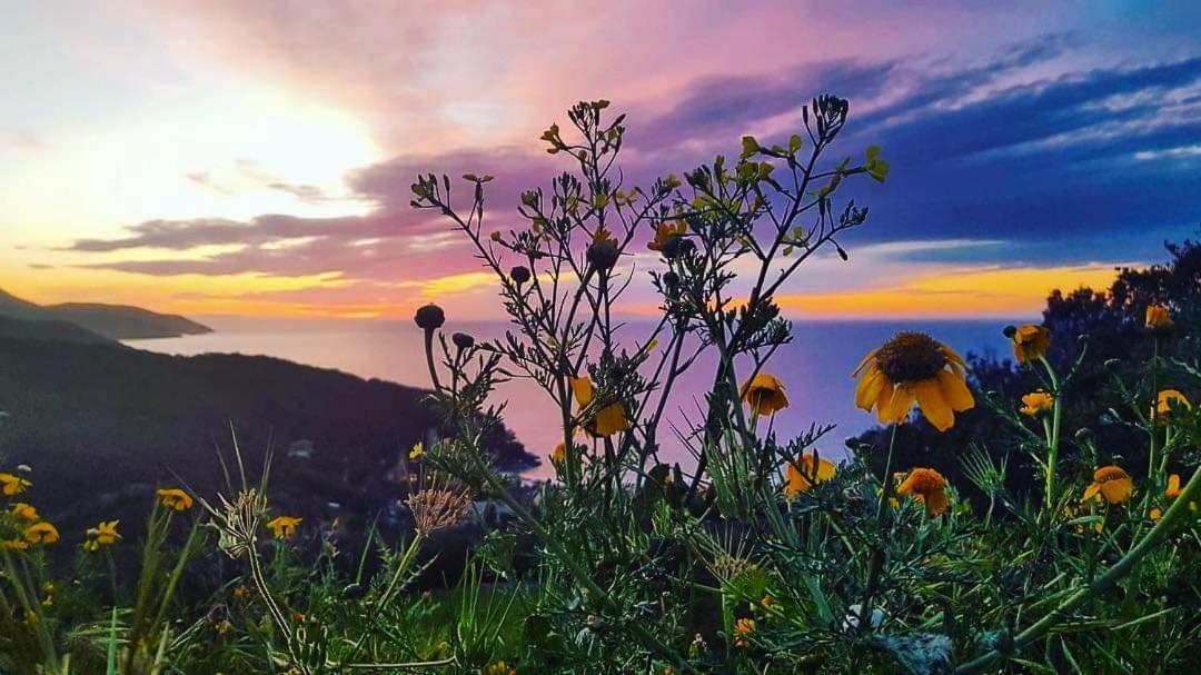 Appartamenti Scaglieri Portoferraio Kültér fotó